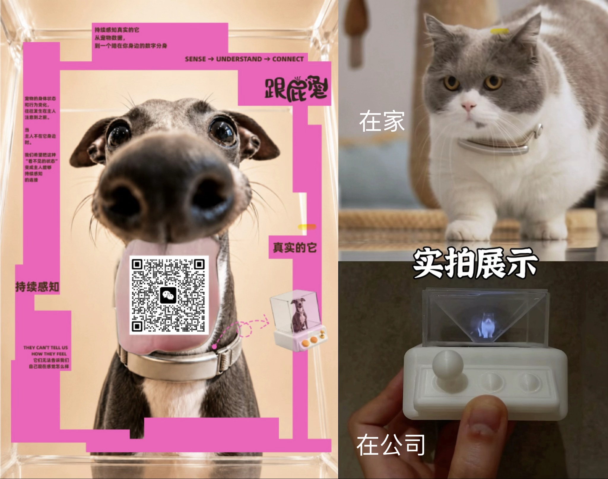 【跟屁宠】实时宠物全息投影+宠物健康监控项圈